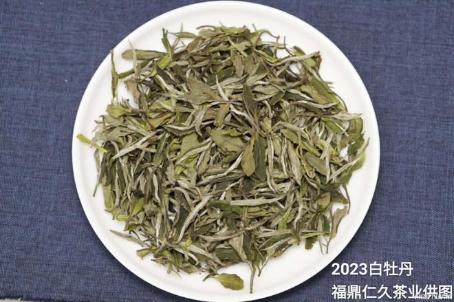 long8唯一官方网站登录茶叶知识茶叶科普趣味小知识老茶与新茶的差异(白茶小科普