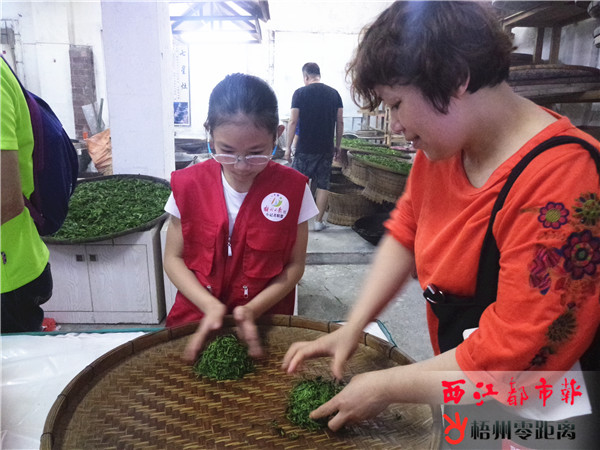 long8唯一官方网站茶具知识茶具使用和介绍小记者学当小茶人