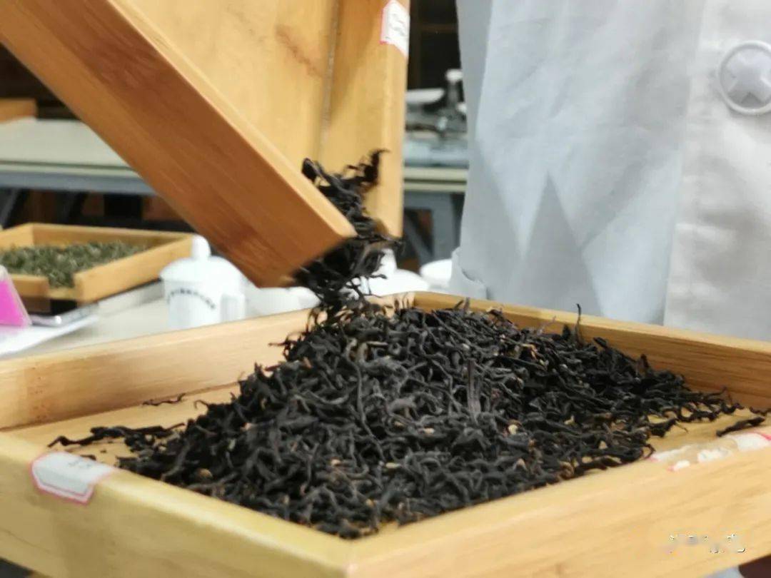 long8唯一官方网站登录茶叶知识茶叶的六大基本知识对茶叶的再认识：中高级评茶员