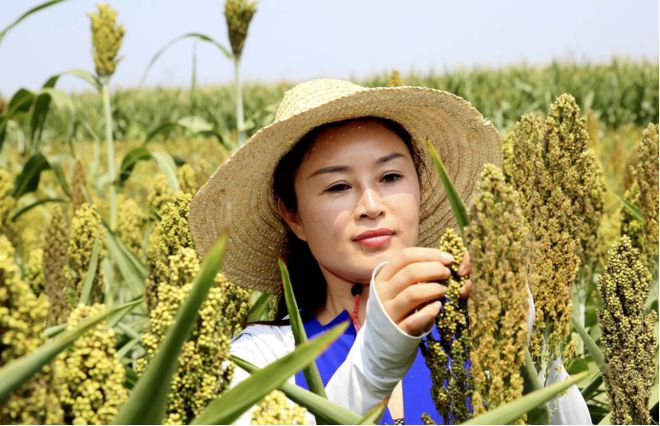 龙8long8唯一官方网站功夫茶的茶具有哪些茶具知识茶桌批发市场宁陵县信合农业种