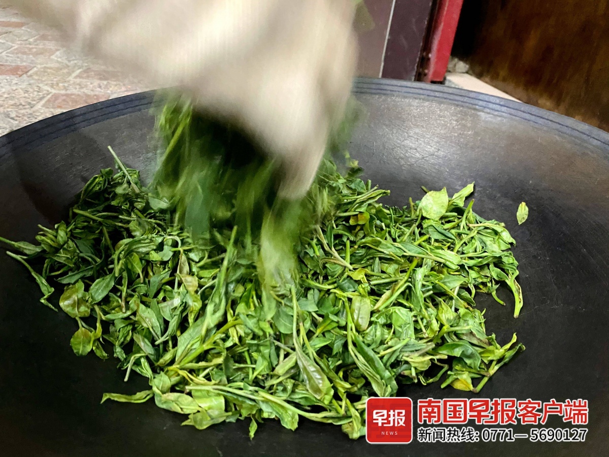 long8唯一官方网站茶具创意名字茶叶知识茶叶的分类图片正是春茶季！广西明前茶、