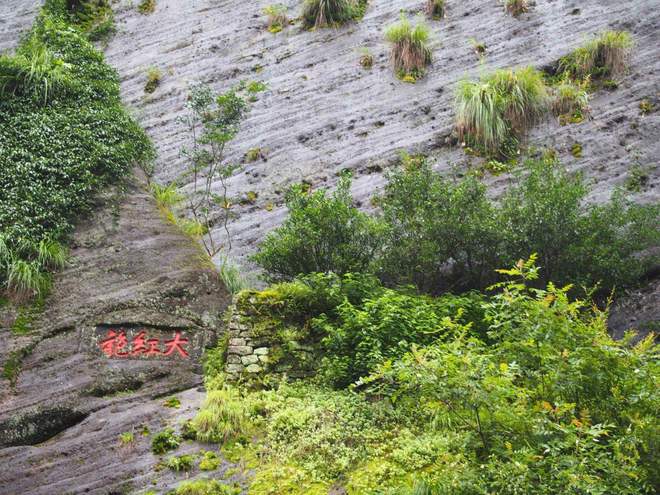 龙8long8中国最贵茶叶排行：西湖龙井排行第三第一名价格1040万元公斤