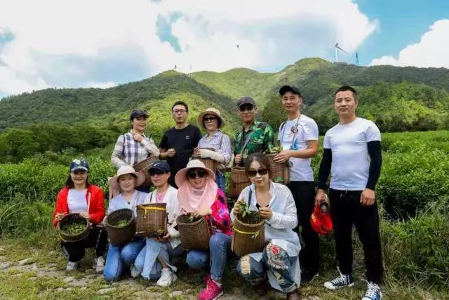 龙8long8丹西成校茶香飘满园