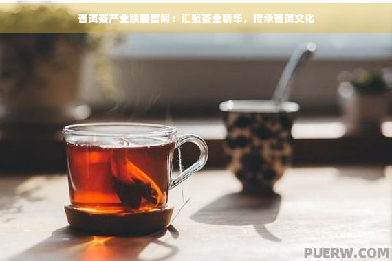 龙8long8普洱茶产业联盟官网：汇聚茶业精华传承普洱文化