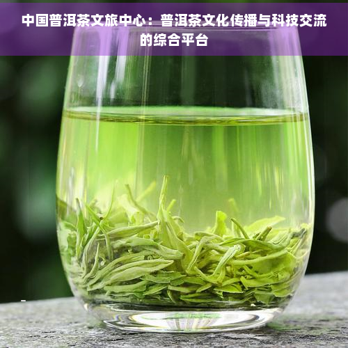 龙8long8中国普洱茶文旅中心：普洱茶文化传播与科技交流的综合平台