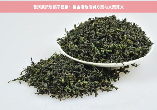 龙8long8普洱茶策划稿子模板：包含活动策划方案与文案范文