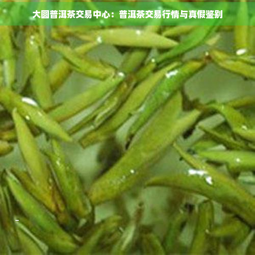 龙8long8，大圆普洱茶交易中心：普洱茶交易行情与真假鉴别